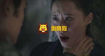 夏侯徽是誰殺的