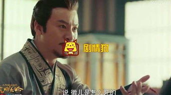 夏侯徽是誰殺的