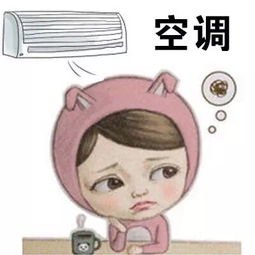 夏天可以干什么