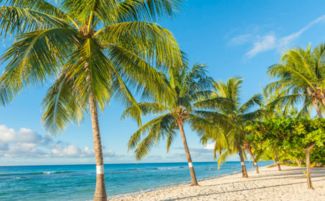 夏天的特點有哪些