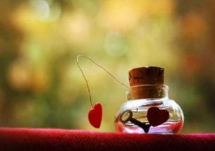 夏天是幾月到幾月