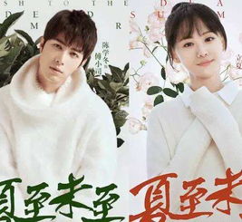 夏至未至張翰演什么