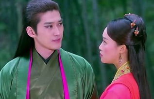 夏至未至張翰演什么