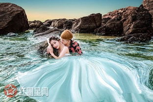 小伊伊和牌牌琦怎么了