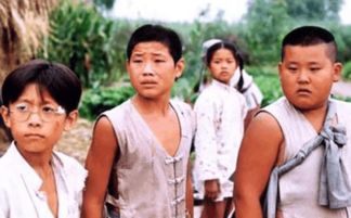 小兵張嘎張一山演誰