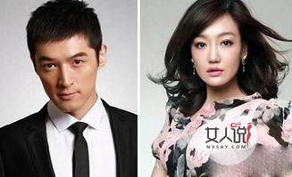 薛佳凝胡歌分手原因是什么