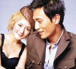 謝娜結婚劉燁如何回應