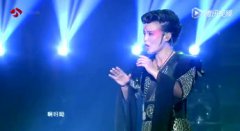 龔琳娜忐忑什么意思