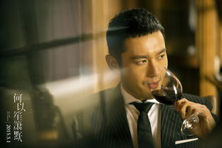 黃曉明演的電影有哪些