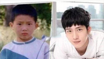 井柏然奶奶還在嗎