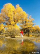 胡楊林照相穿什么顏色