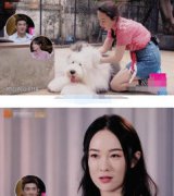 霍思燕媽媽去世了嗎