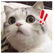 考拉海購為什么便宜