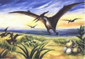 恐龍是怎樣飛向藍天的