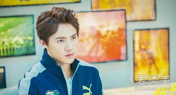 浪花一朵朵什么臺播出