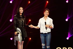 跨界歌王總決賽姚晨唱的什么歌