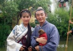 六小齡童西游記有幾部