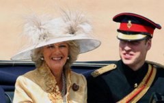 威廉王子討厭卡米拉嗎