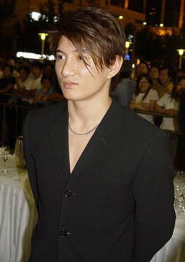 吳奇隆加入回族嗎