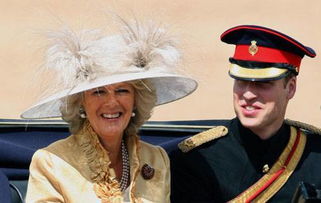 威廉王子討厭卡米拉嗎