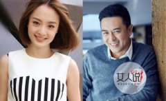 孫銥張嘉譯是什么關系