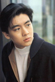 林志穎二胎是試管嗎