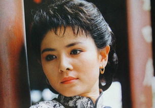 王之夏在大宅門里扮演什么角色