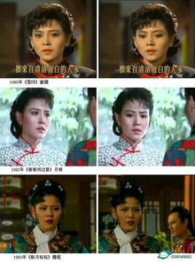 王之夏在大宅門里演誰