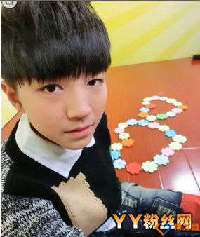 王俊凱是哪里人