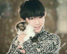 王俊凱是哪里人