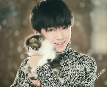 王俊凱是哪里人