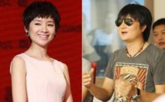 王大治與董潔什么關系