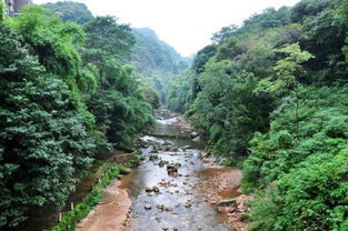 青城后山海拔多少米高
