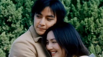 黎姿和吳彥祖演的電影是什么、