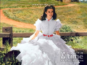 亂世佳人是哪部小說改編的