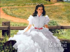 亂世佳人是哪部小說改編的