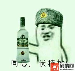 伏特加什么意思