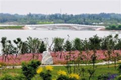 南海子公園好玩嗎