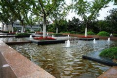 崇明島冬天好玩嗎