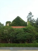 山東屬于東北三省嗎