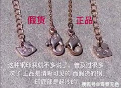 怎么辨別黑天鵝真假