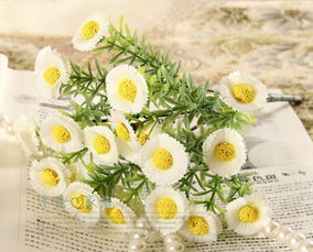 小雛菊可以放在臥室嗎