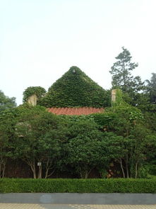 山東屬于東北三省嗎