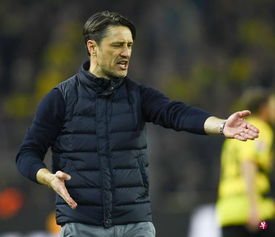 拜仁主教練是誰