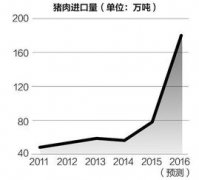 2017年下半年豬價(jià)如何
