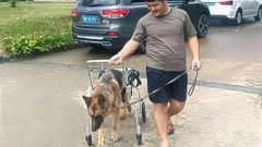 哪個國家可以安樂死