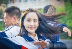 夏洛特煩惱寓意是什么