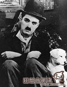 卓別林為什么偉大
