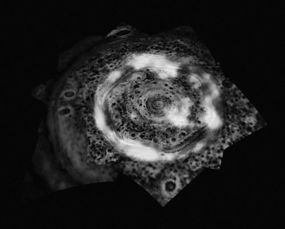 土星里面是什么樣子