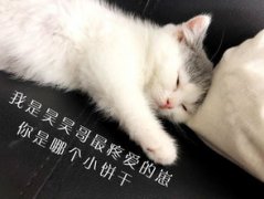 千璽的貓叫什么名字